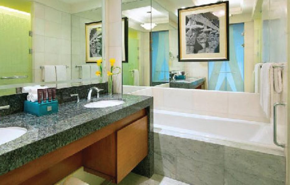 النيل ريتز كارلتون القاهرة